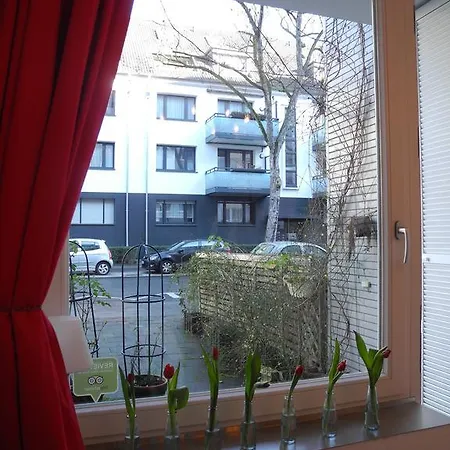 Apartment In *
