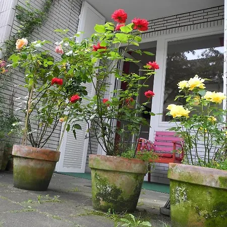 In Apartment Cologne