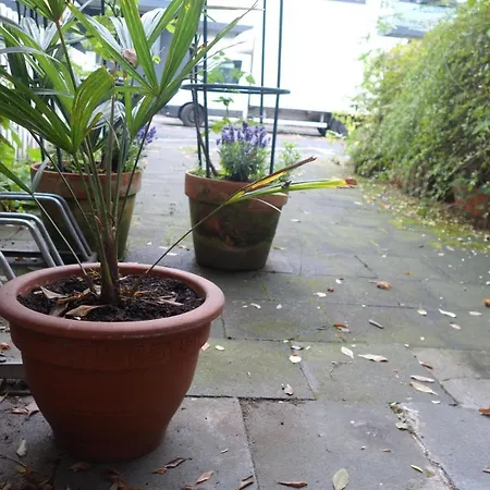 Apartment In